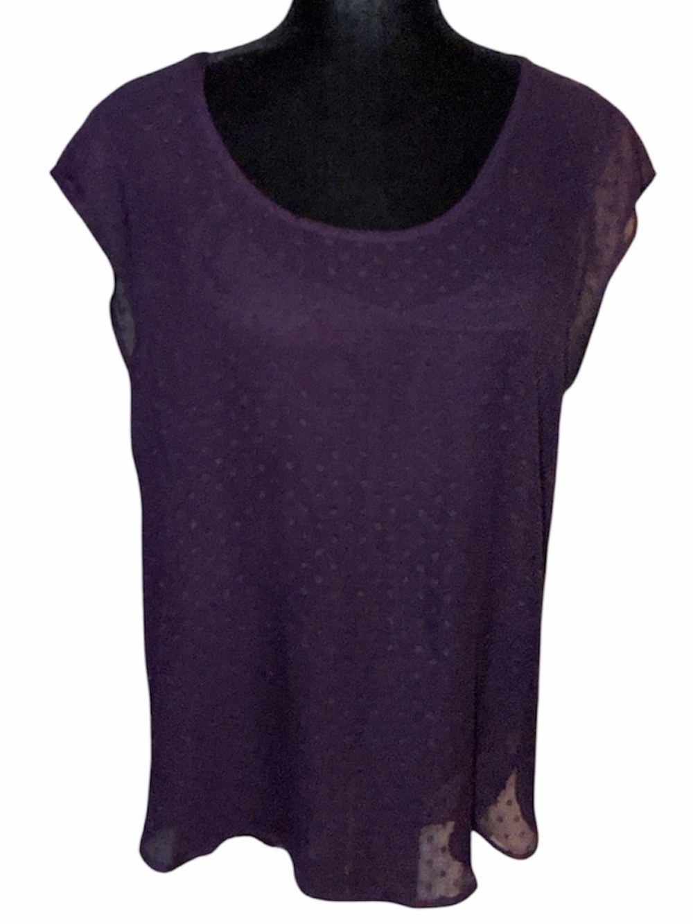 Daniel Rainn Purple Semi Sheer Blouse w Purple Cami